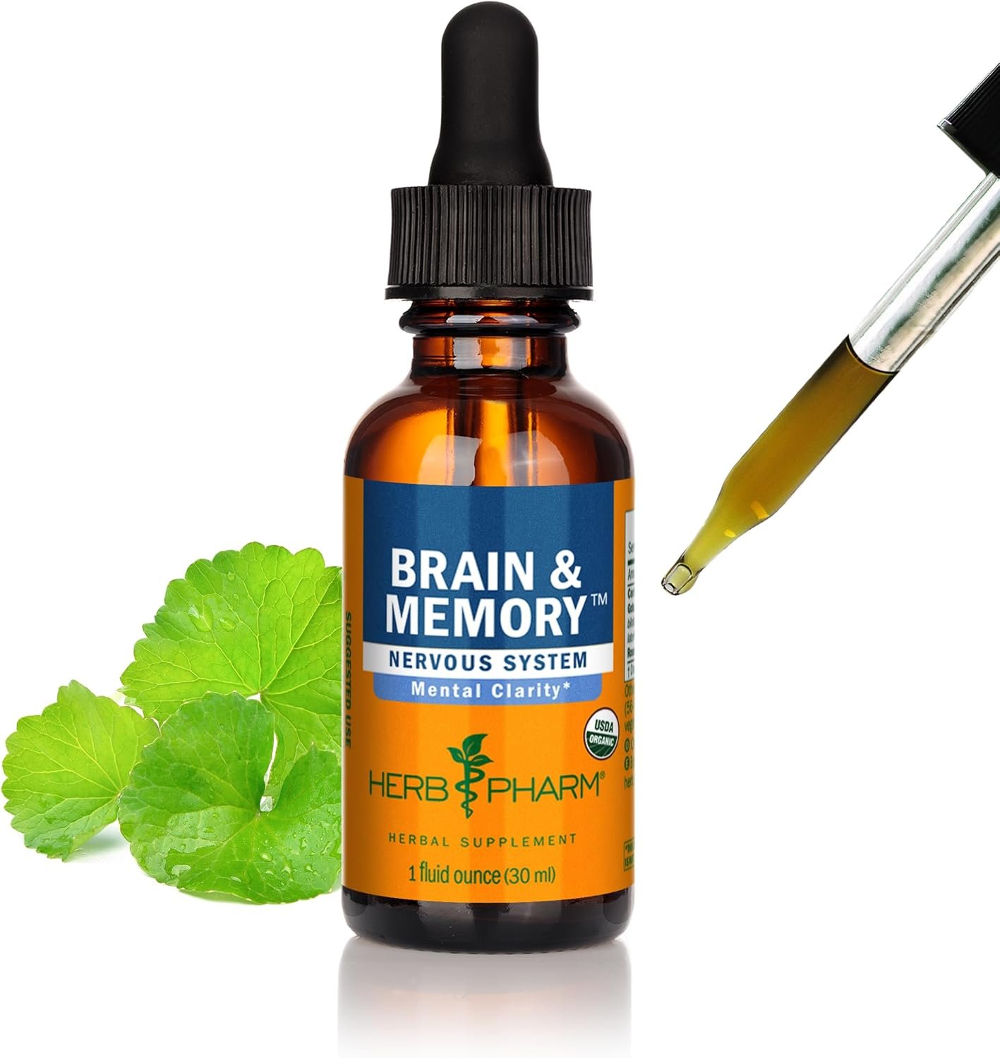 Herb Pharm Brain & Memory: Formula with Ginkgo Biloba Organic, Fast Absorption for Mental Focus, Nootropic Vegan Brain Supplement | Non-GMO Ginkgo Supplement, Gluten-Free, Up to 3 Week Supply, 1 oz